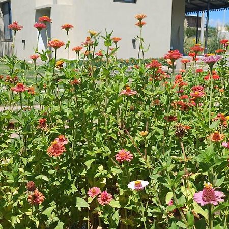 La Valentina Casa De Campo Villa Cura Brochero Zewnętrze zdjęcie